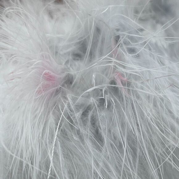 Charles by Charles David Pazazz Feathers Slide Square Toe Women 12M Tried OnFlaw - Picture 6 of 12